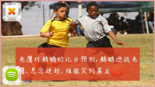 老鹰对鹈鹕的比分预测,鹈鹕迎战老鹰,悬念迭起,谁能笑到最后
