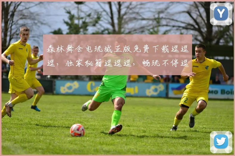 森林舞会电玩城正版免费下载逗逗逗,独家秘籍逗逗逗,畅玩不停逗逗逗